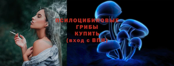 не бодяженный Алзамай