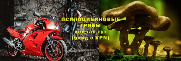 ГАЛЛЮЦИНОГЕННЫЕ ГРИБЫ Каменка