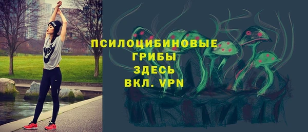 герыч Алексин