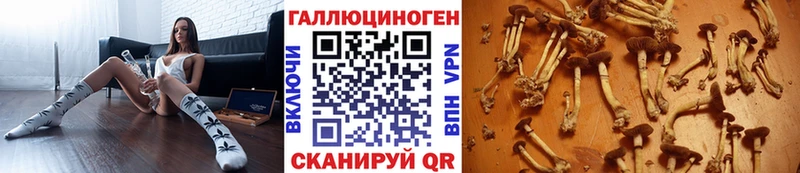 Галлюциногенные грибы Psilocybine cubensis  Лагань 